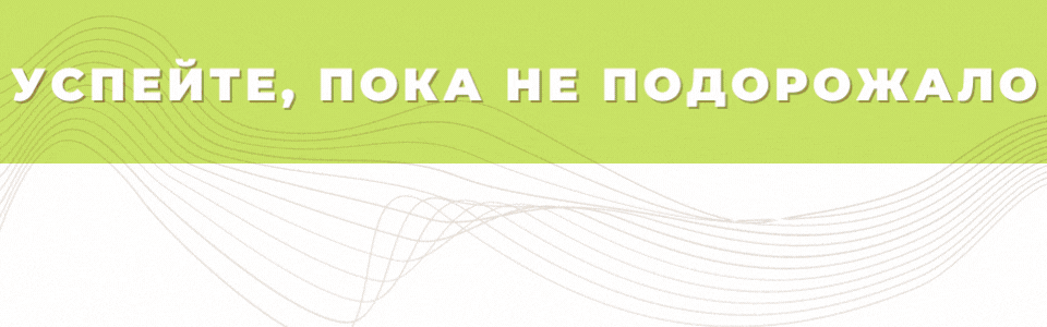 Успейте, пока не подорожало